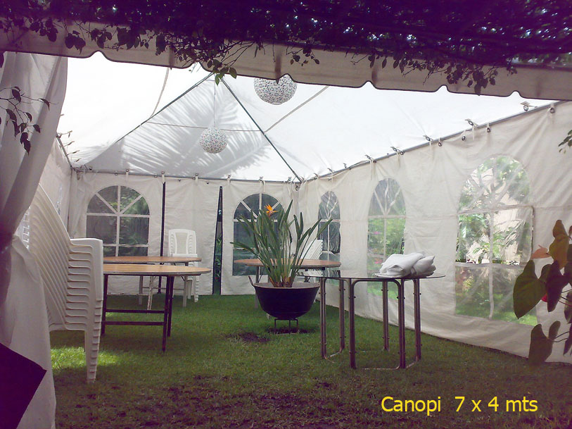 Canopy 7 x 4 mts con paredes